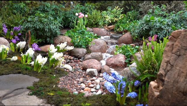 Small cascading garden stream edged with moss, ferns, and spring flowers