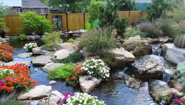 Winding backyard stream with stepping stones, flowers, and a wooden privacy fence