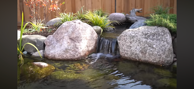 Small waterfall spilling into a clear rock-lined pond against a wooden fence