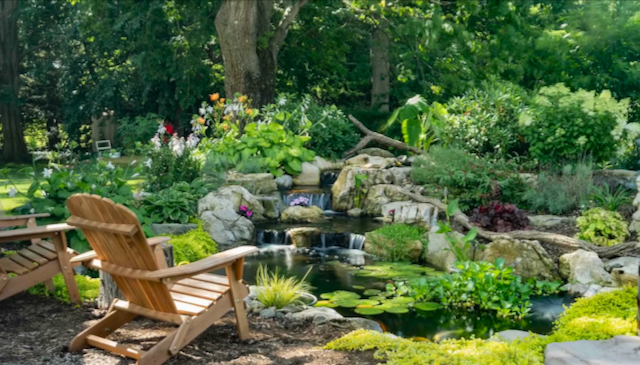 Lush woodland waterfall into a lily pond with seating tucked among hostas and ferns