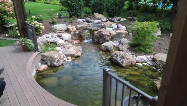 Clear pond and small waterfall tucked beside a curved deck and flowering shrubs